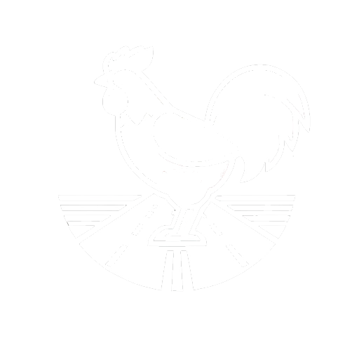 Chicken Game Casino Logo